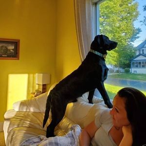 Meet your Posher, Jess